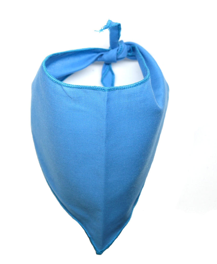 S3196 Carolina Blue Bandana
