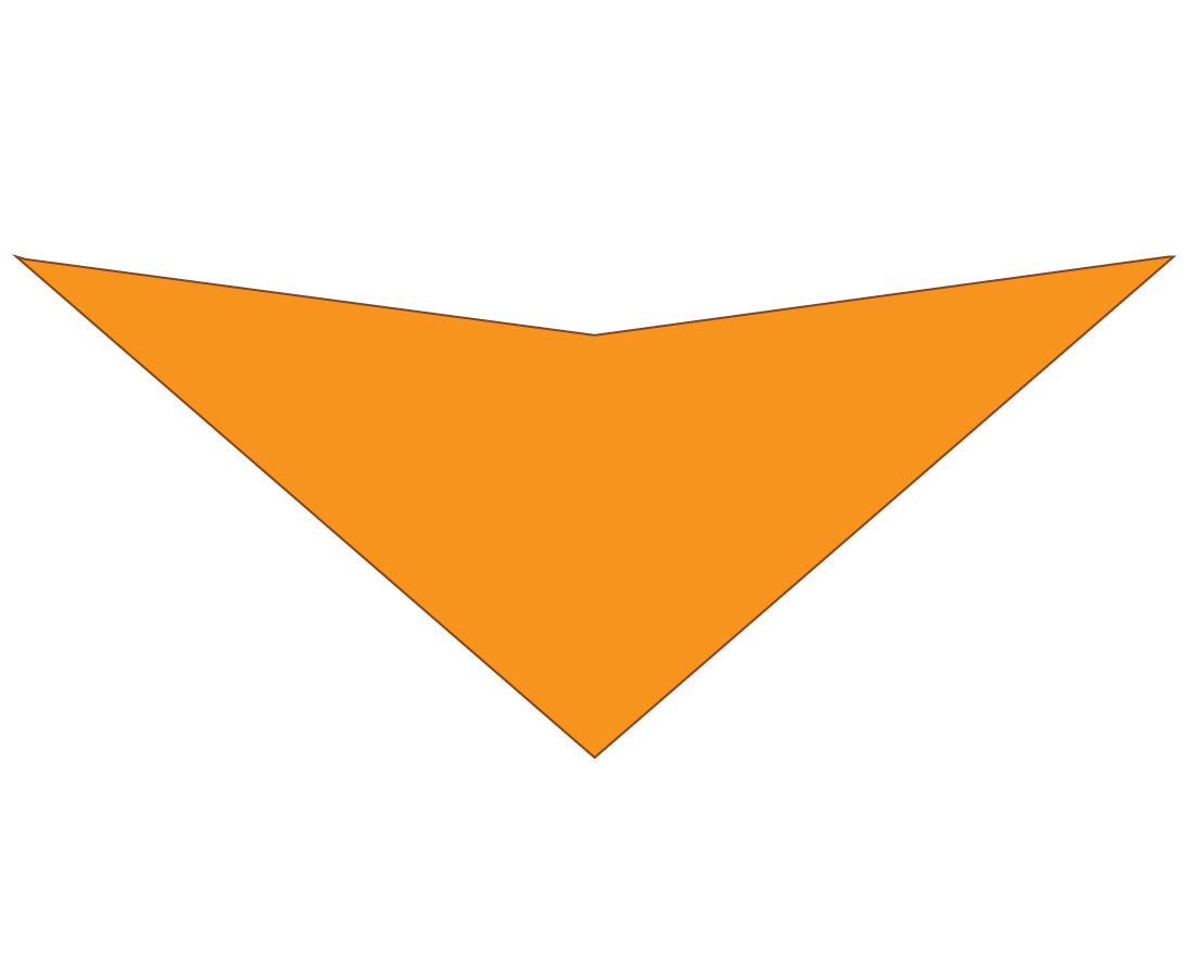 S3197 Orange Bandana