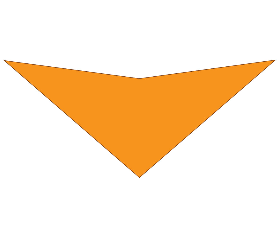 S3197 Orange Bandana