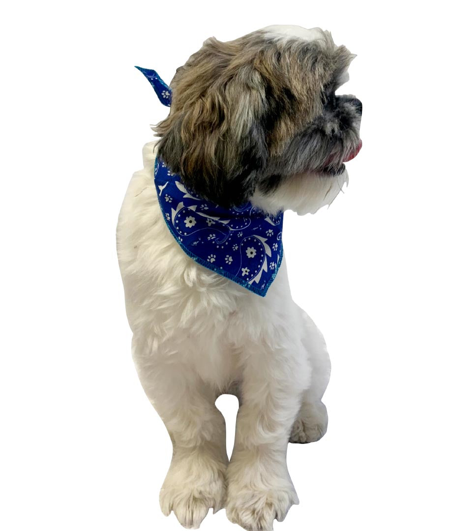 S3201 Paisley & Pawprints Bandana, Blue