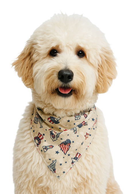 S3204 Statue Of Liberty Doggie Bandana, Grey