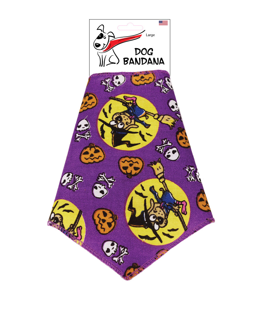 SA3020 Halloween Witch Doggie Bandana, Purple