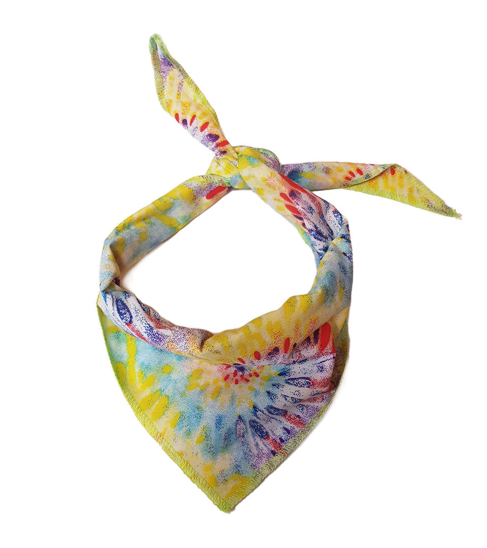 S3210 Tiedye Seventies Inspired Doggie Bandana, Rainbow