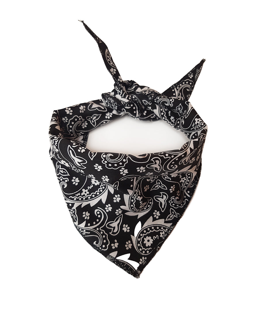 S3217 Paisley & Pawprints Bandana, Black
