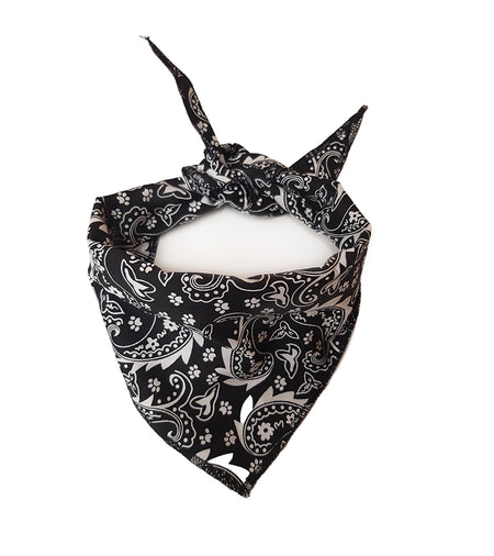 S3217 Paisley & Pawprints Bandana, Black