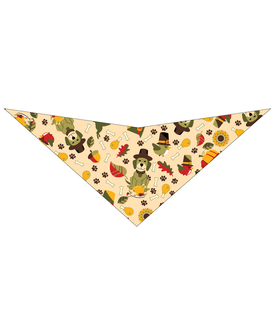 S3219 Pilgrim Hat Doggie Bandana