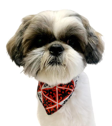 S3021 Paws Bandana