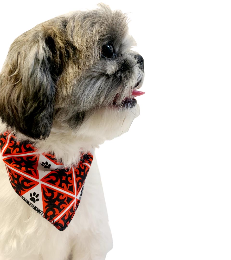 S3021 Paws Bandana
