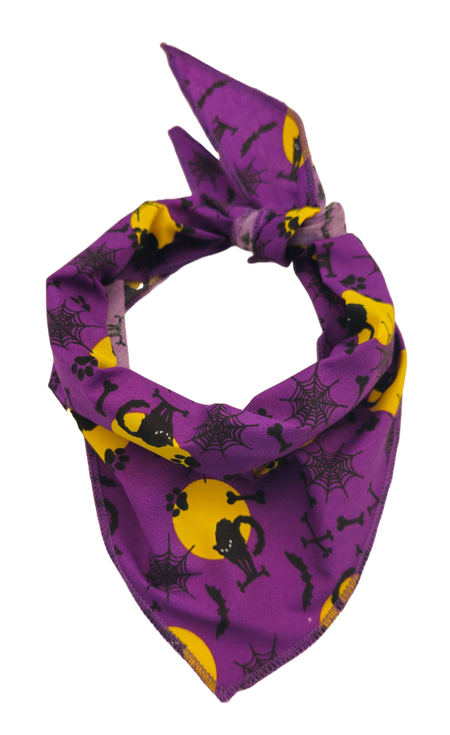 S3229 Halloween Bandana Purple