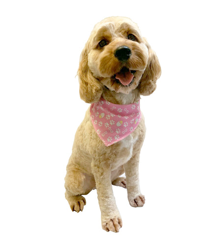 S3022 White Paws & Bones Easter Bandana, Pink