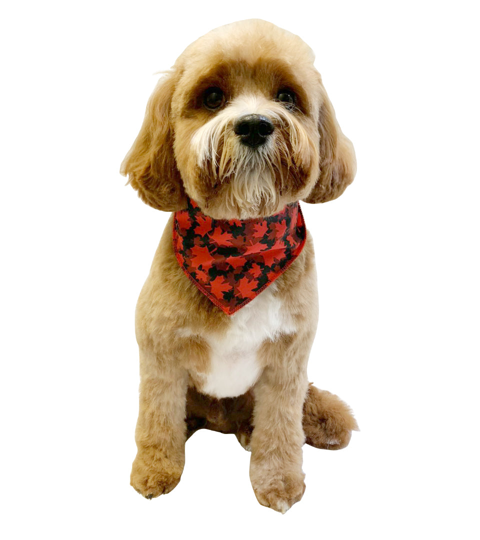 S3230 Maple Leaves Bandana