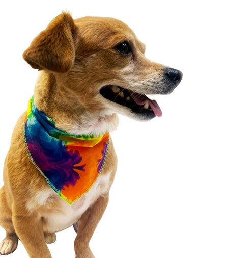 S3233 Casual Bandana