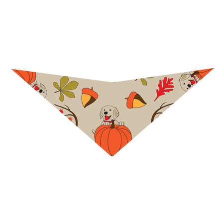 S3242 Pumpkin Doggie Bandana