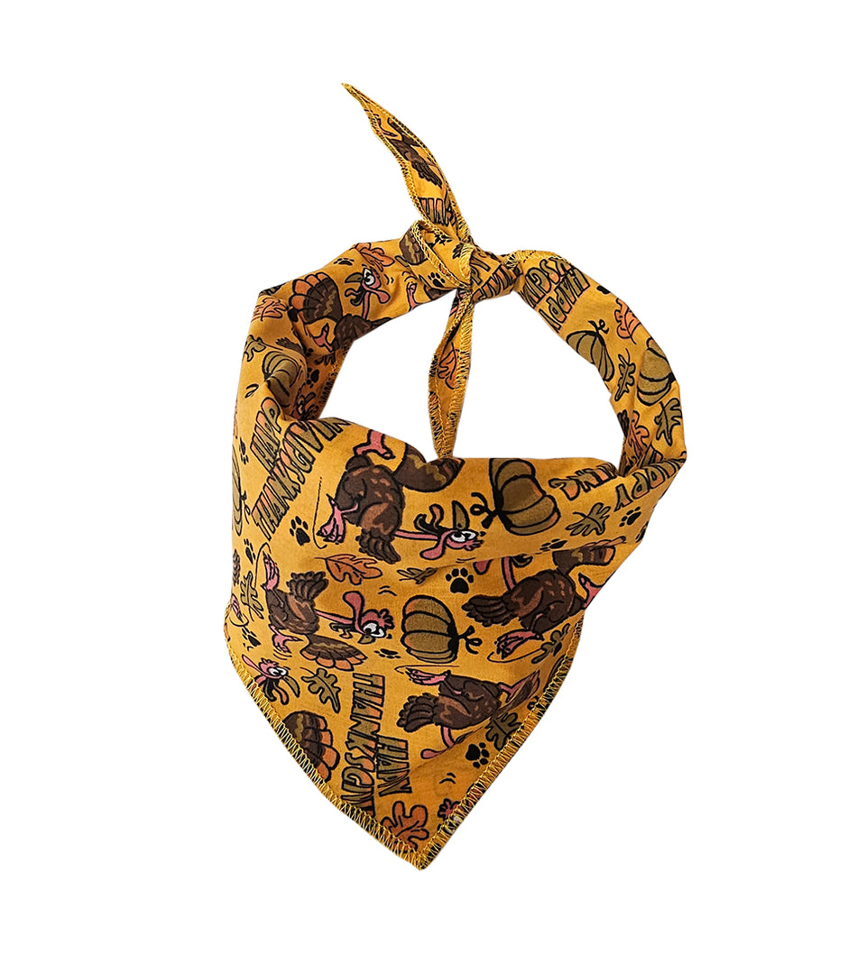 S3249 Thanksgiving Bandana