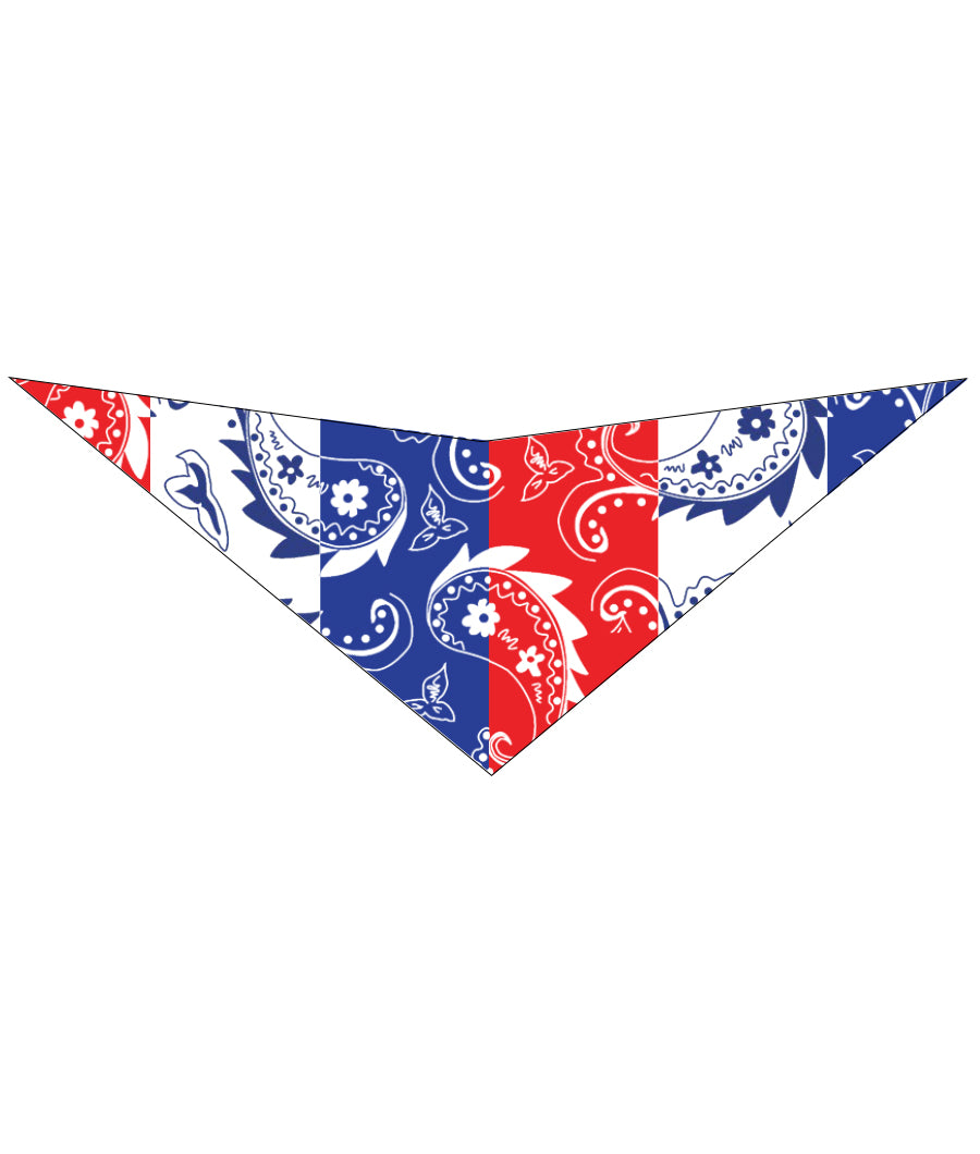 S3251 Multicolor Paisley Triangle Bandana 100% Premium Cotton