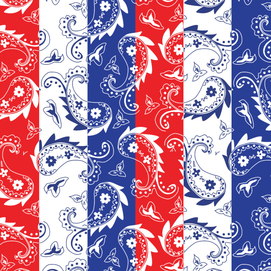 SQ3251 Multi Color Paisley Square Bandana 100% Premium  Cotton