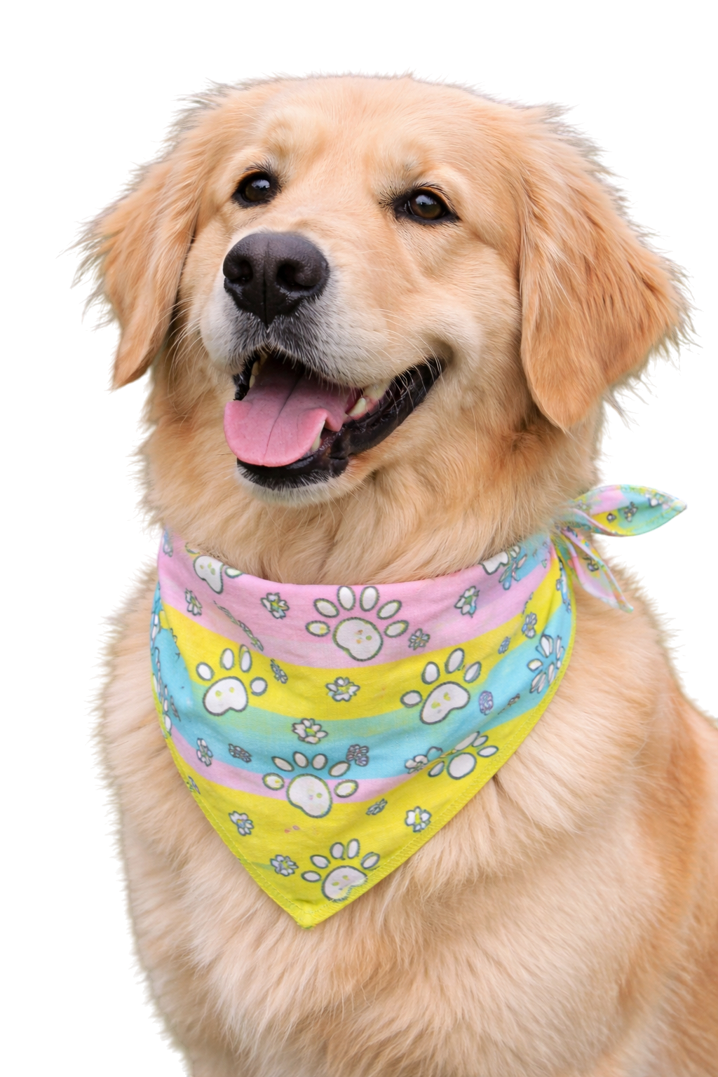 S3025 Easter Bandana