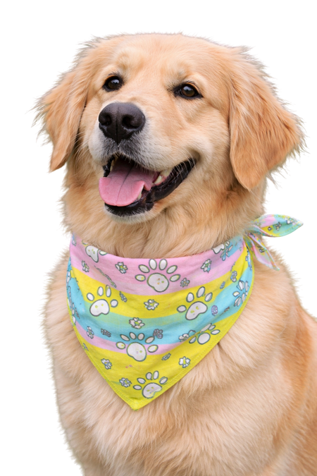 S3025 Easter Bandana