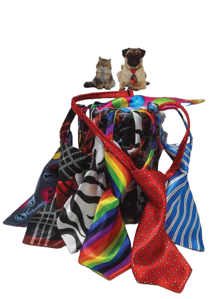 PKNT26 12 Mix Pack Neckties