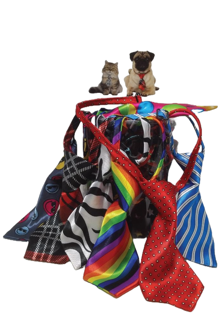 PKNT26 12 Mix Pack Neckties
