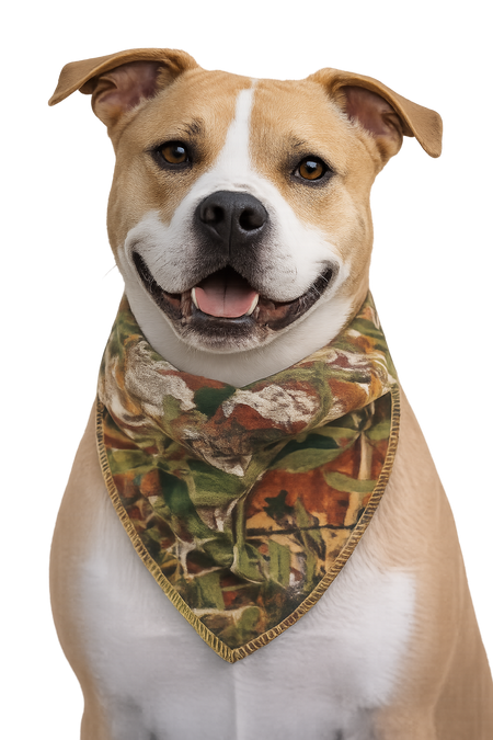 S3278 Camouflage Bandana