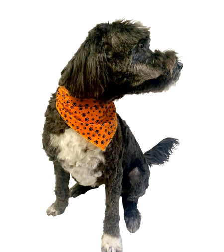 S3002 Black Pawprints Bandana, Orange