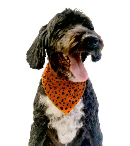 S3002 Black Pawprints Bandana, Orange