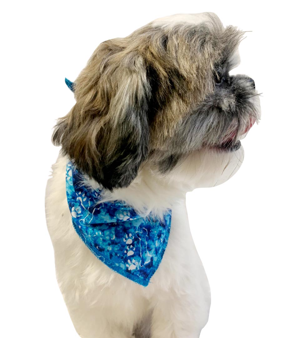 S3034  Paws & Bones Bandana, Blue