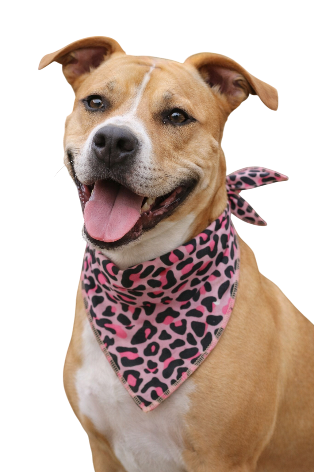 S3035 Leopard Bandana 