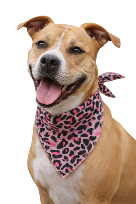 S3035 Leopard Bandana 