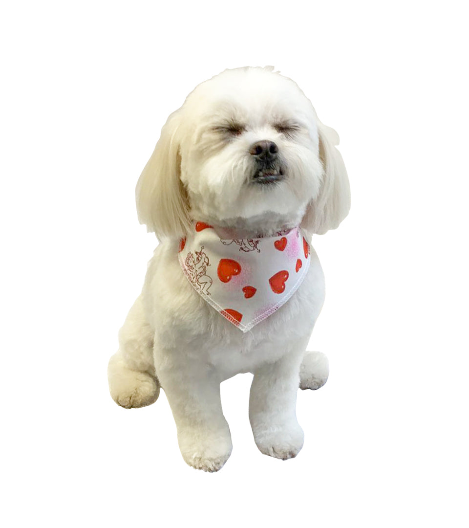 SA3035 Cupid & Hearts Doggie Bandana, White