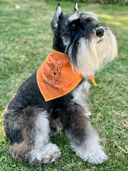 S3608 Black Logo Print, Orange Bandana