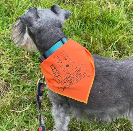 S3608 Black Logo Print, Orange Bandana