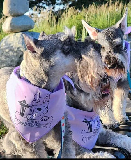 S3612 Black Logo Print, Light Purple - Lavender Bandana