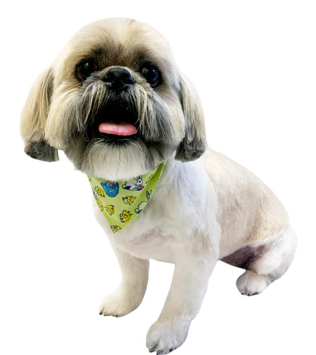 S3038 Easter Play Doggie Bandana, Green