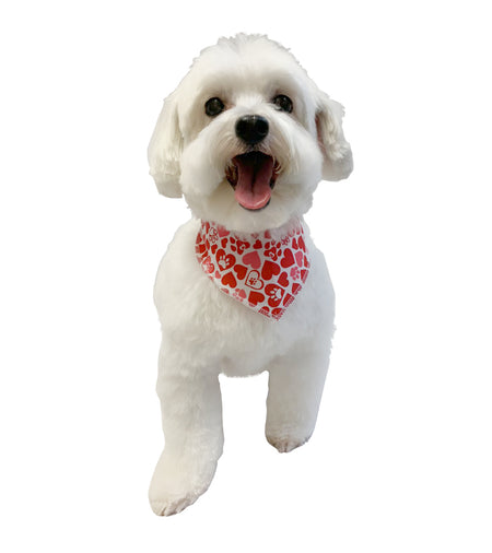 S3039 Valentine's Doggie Bandana