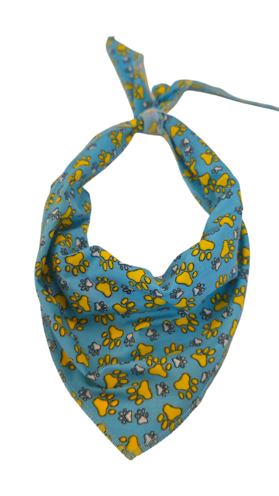 S3040 Paws on Blue