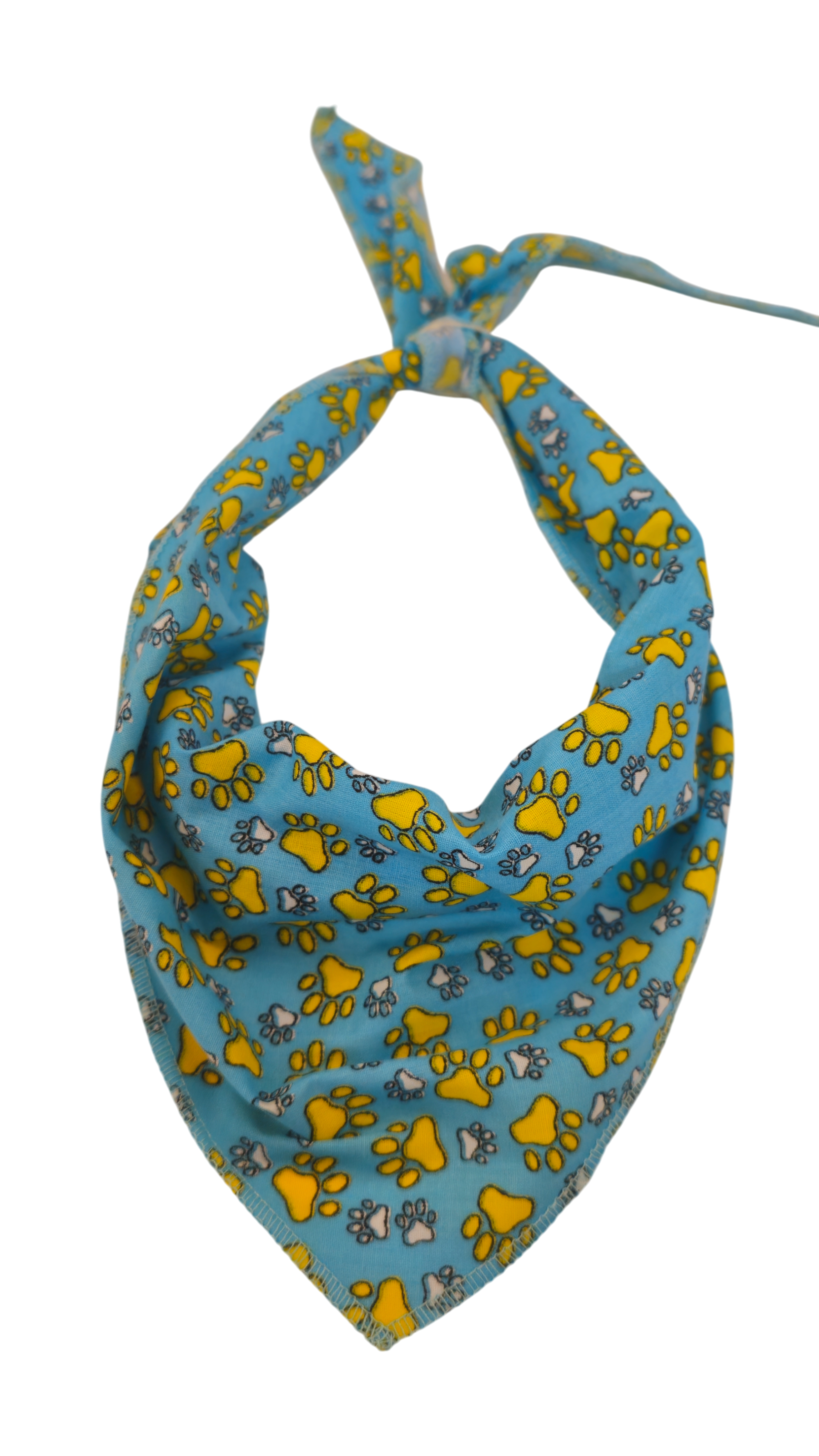 S3040 Paws on Blue