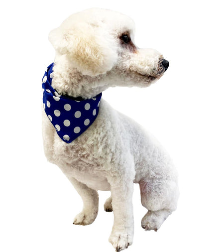 S3046 White Dots Doggie Bandana, Blue