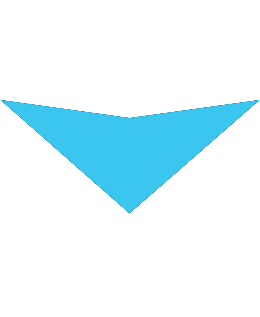 S3048 Light Blue Bandana
