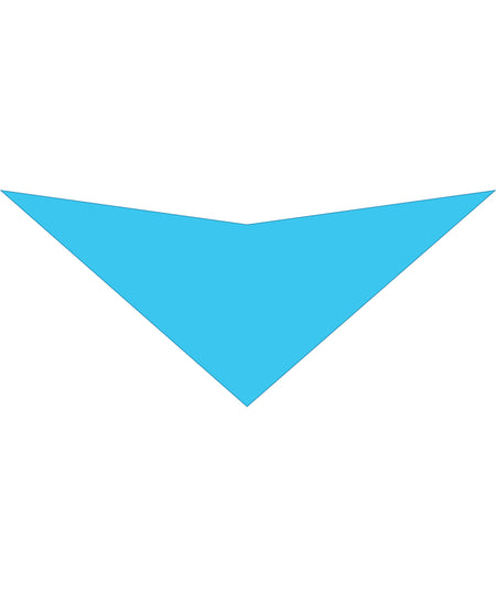 S3048 Light Blue Bandana