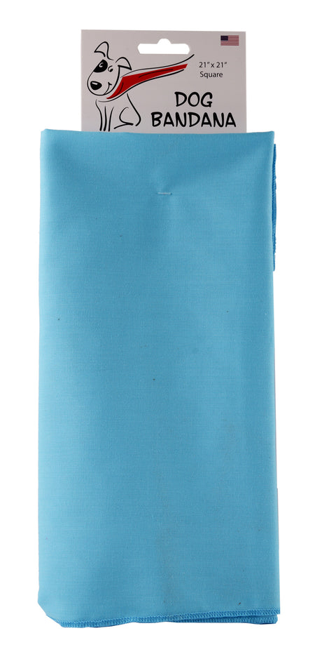 SQ3048 Light Blue Bandana