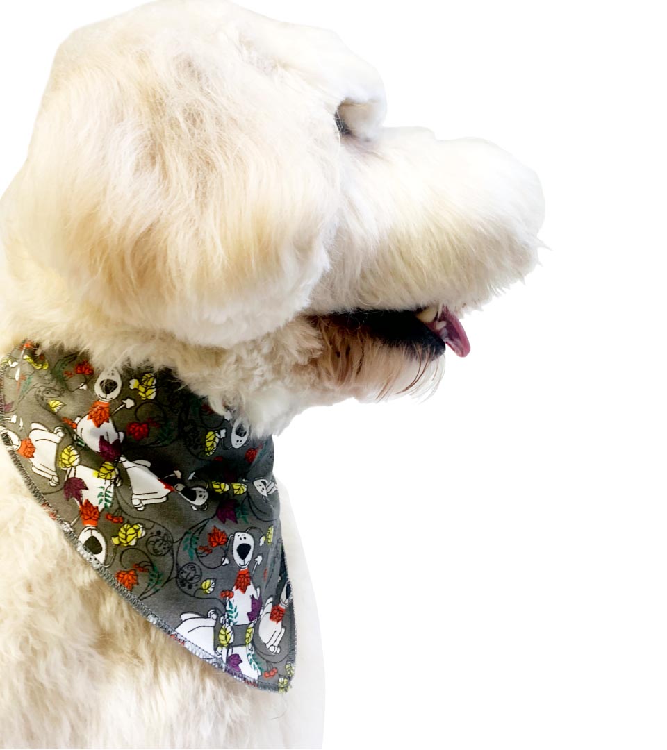 SPKS11 Bandanas Variety Pack Per Size - 12 assorted FALL THANKSGIVING bandanas  