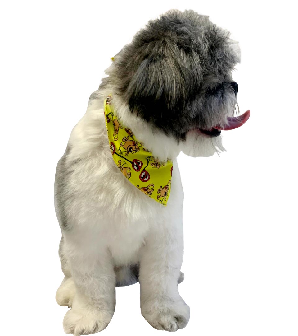S3055 Funny Doggie Peeling On Sign Bandana, Yellow
