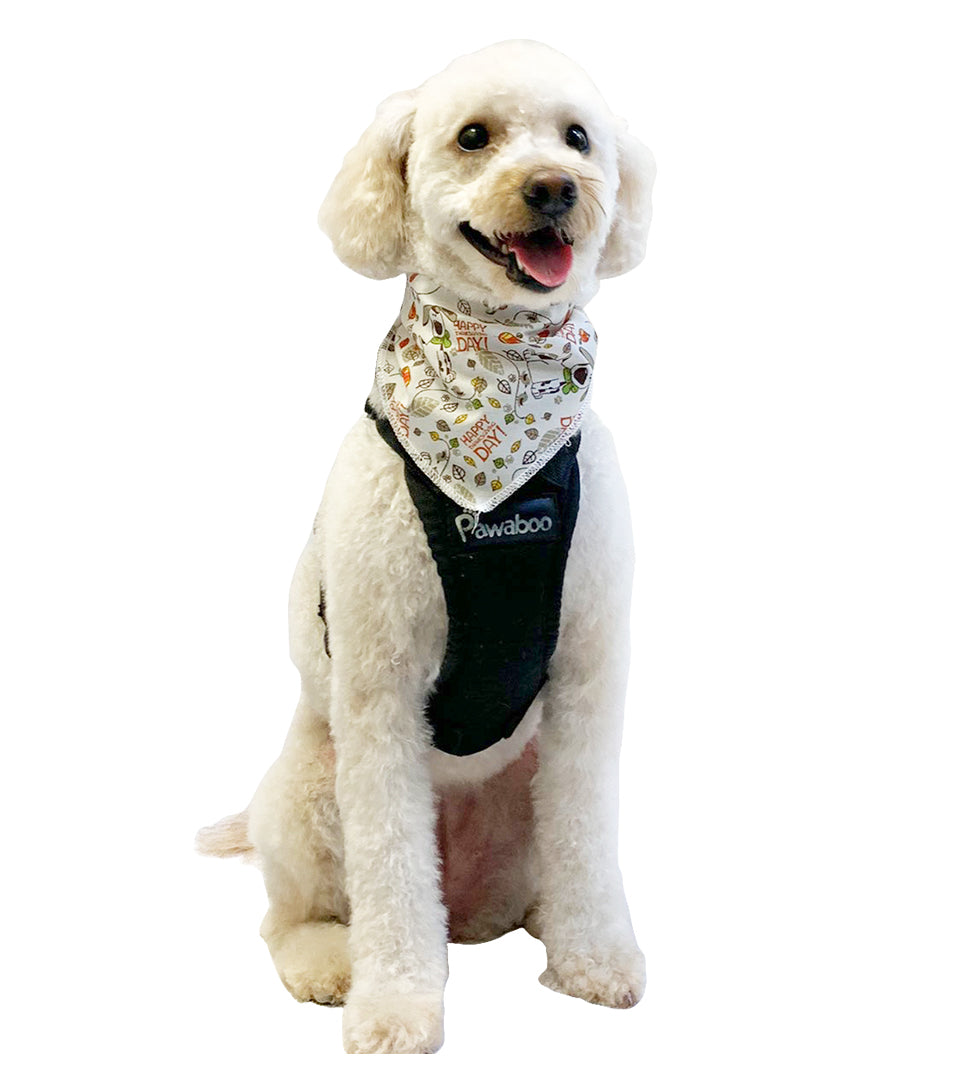 SA3057 Happy Thanksgiving Day Doggie Bandana, White