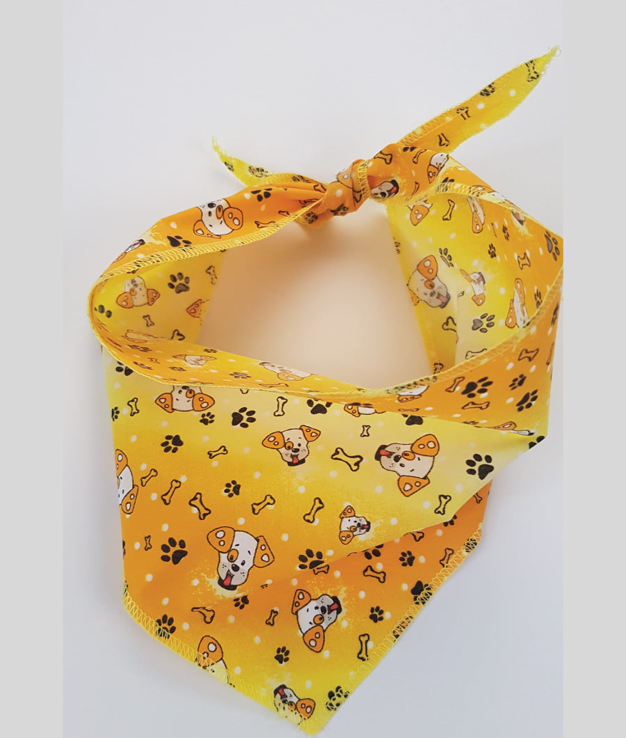 SA3058  Doggie Bandana