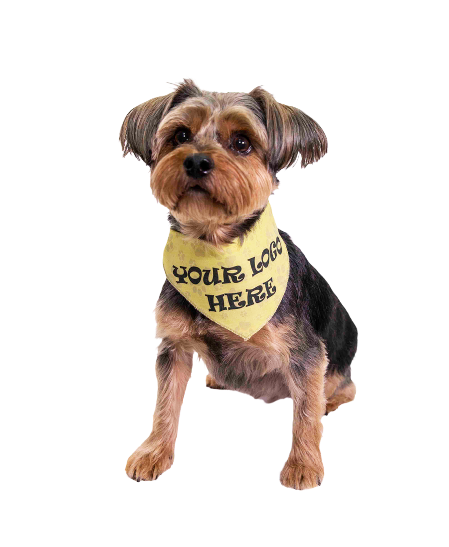 S3601 Black Logo Print, Paws on Beige Bandana