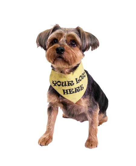 S3601 Black Logo Print, Paws on Beige Bandana