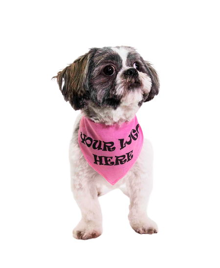 S3604 Black Logo Print, Light Pink Bandana