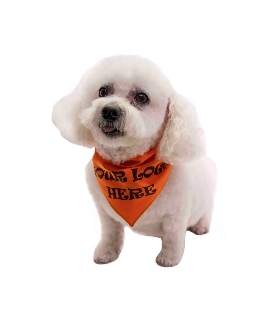 S3608 Black Logo Print, Orange Bandana